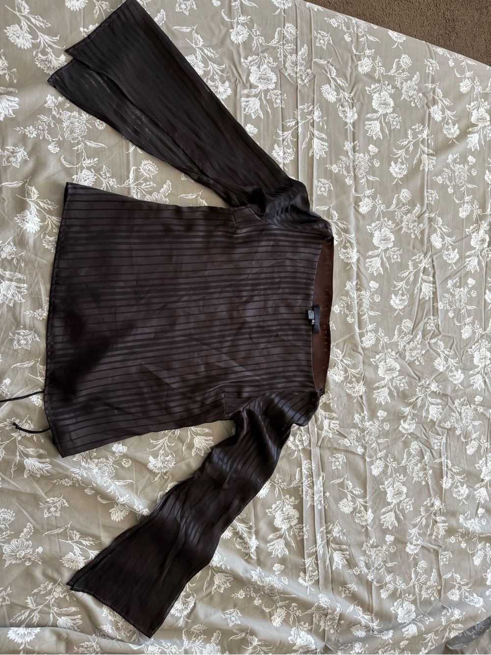 Zara Dark Brown Sheer Striped Long-Sleeve Blouse